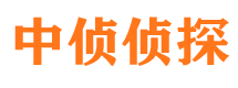 峰峰婚外情调查取证